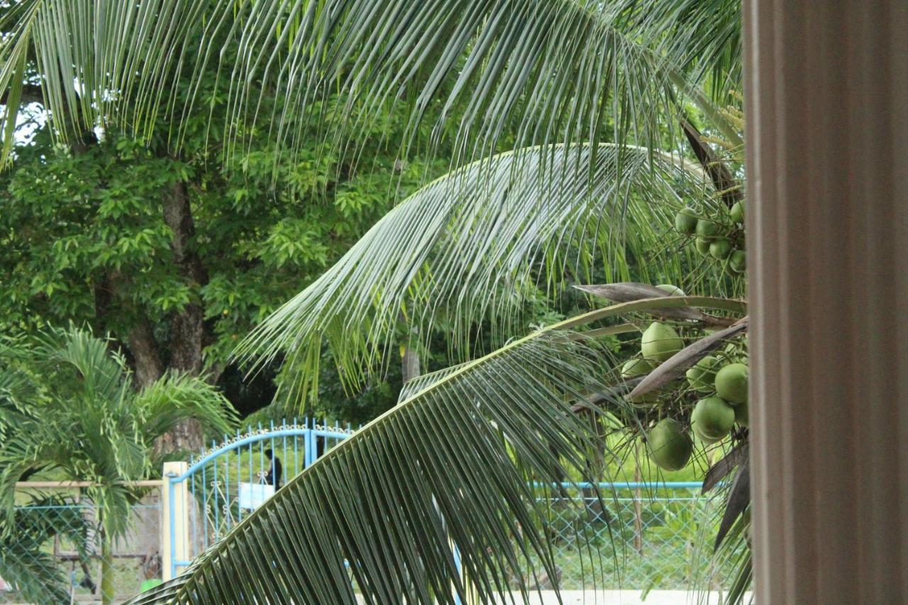 Maya Guest House - Sipaway Island San Carlos  Экстерьер фото